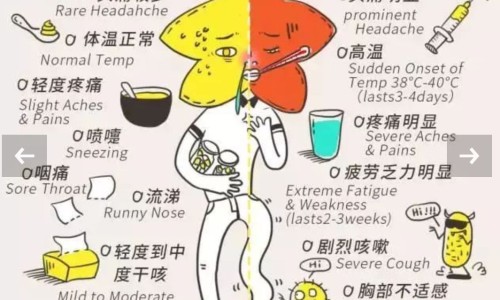 有脂肪膜打开这一说吗-脂肪膜没排出 会跑到血管吗网脂肪膜会通过产品排出来嘛知识网站,分享脂肪膜没排出 会跑到血管吗视频大全