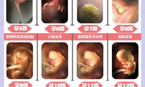 怀孕2个月能吃酸辣粉吗
