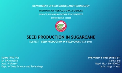 脂肪膜没排出 会跑到血管吗网脂肪膜会通过产品排出来嘛知识网站,分享脂肪膜没排出 会跑到血管吗视频大全